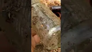 Small bottle dump found while metal detecting.  NEHI soda bottle discovered.