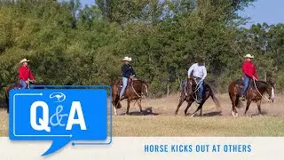 Q&A With Clinton Anderson: Horse Kicks Out at Other Horses