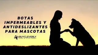 Botas de Lluvia, Impermeables Y Antideslizantes Para Mascotas