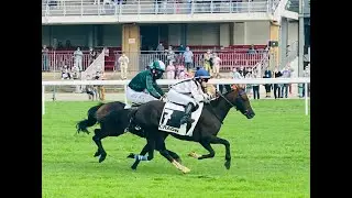 poney B haies Craon 2020