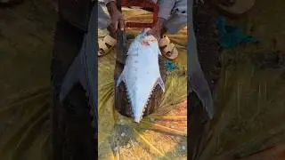 Giant Fish cutting skilled 🐳🔪 #fishery #fyp #trending #shorts #viral