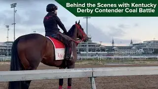 Behind the Scenes with Kentucky Derby Contender Coal Battle During His First Days at Churchill Downs