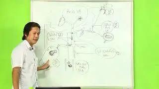 Chia sẻ kinh nghiệm trừ sâu theo phương pháp sinh học kiku bara - phần 1