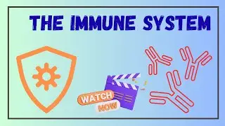 The Immune System #immunity #immunesystem #immunesystemboost