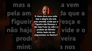 Nenhum sofrimento dura para sempre, o momento de se alegrar chegou amado #oliveira #alegria #shorts