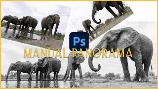 Mashatu Elephant Panorama Edit