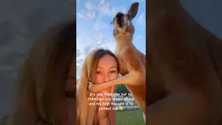This kangaroo thought she was in danger 😳🦘