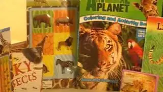 Animal Planet Christmas Gift Basket For Kids