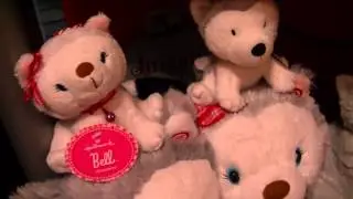 All Of My Plush Collection!! (Part 1) Disney, Dreamworks, Universal, Huskies,Characters, and More!!