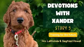 Training for the future Pet Story 9