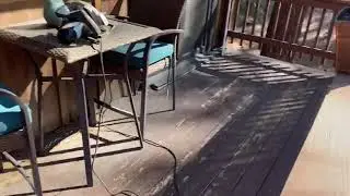 Planting