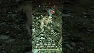I found a new passive creature in the fallout 76 expansion #like #fallout #fallout76  #gaming #xbox