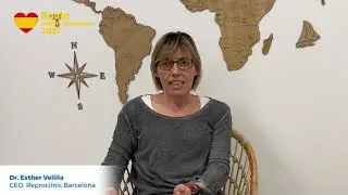 How is fertility treatment regulated by Spanish law?