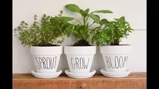DIY Farmhouse Style Flower Pots - Inspired by Rae Dunn Pottery