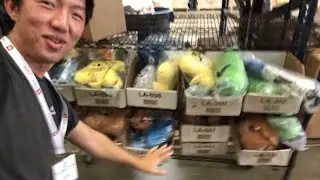 BFDI plush warehouse (my first time visiting it!)