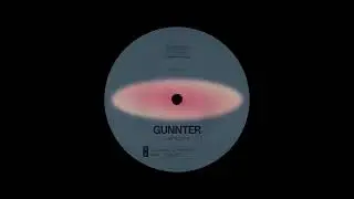 Gunnter - Tribute to FG (Original Mix)