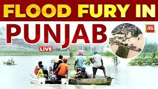 Punjab Floods LIVE | Indian Army Intensifies Flood Relief Operations Across Punjab | Punjab Flood
