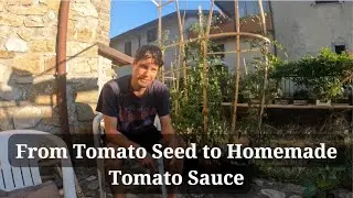 From Seed to Sauce: Making Delicious Italian Tomato Sauce With My Home Grown Tomatoes