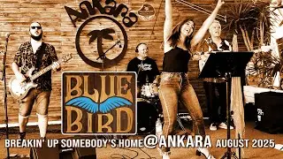 BlueBird - Breakin' up somebody's home