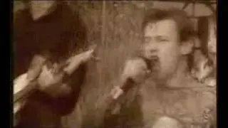 Король и шут - лесник