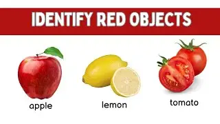 Colours name with Spelling.Learn Object by their Colours!Kids learn10+Colors names easily #learning 