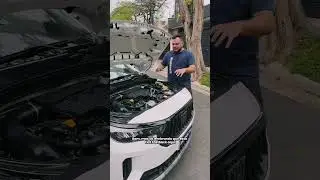 CONSUMO REAL DO FIAT FASTBACK H&Iacute;BRIDO