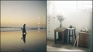 【vlog】引越しと最近のお気に入り｜フィルムカメラで切り撮る海と朝日 | SM2など