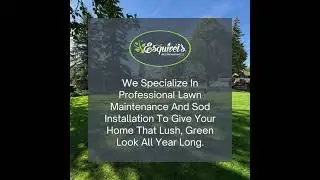 Local Lawn Mowing Experts