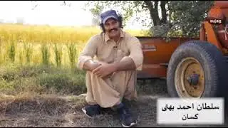 PQNK Sultan Bhatti