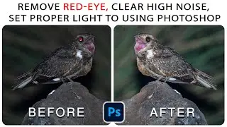 Remove Red-eye, high Noise, & set proper light in your photo to using photoshop.#rahul_chakraborty