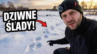 Plany na własne siedlisko – ale najpierw te dziwne ślady