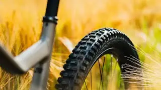 Тестирование совершенно новых шин Schwalbe | Биг Бетти и Нобби Ник