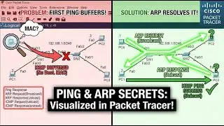 How Packeta travel in the local Network