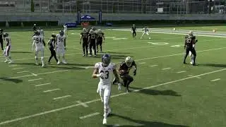 madden 20 akgkilla97 146 defense lets get risky and adjusty e book