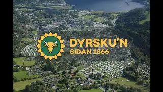 Velkommen til Dyrsku'n