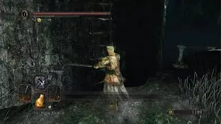 DARK SOULS II: Scholar of the First Sin_20260122131013