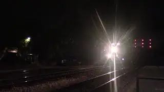 Selkirk, NY to Rocky Mount, NC Manifest Freight Train Q439-09 at St Denis MD
