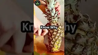 Top 5 Health Benefits of Pineapple | Why You Should Love This Superfruit  #shorts #health #trending
