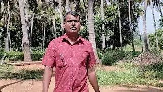 Pandianarts taday full day live support my channel...