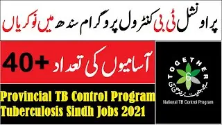 Government of Sindh Provincial TB Control Program Tuberculosis Jobs 2021
