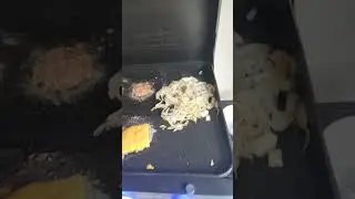 Pit boss griddle first Cook