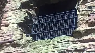 Ghosts: Tantallon Castle