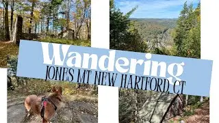 Hiking Jones Mountain with My German Shepherd | Peaceful Fall Adventure in New Hartford, CT 🍂🐾
