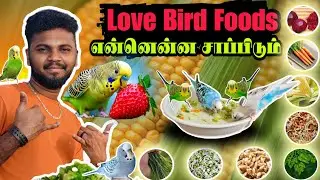 Love🥦🍒 Birds Favorite Foods | Seeds, Fruits & Greens Healthy Food🍇 Diet for Love Birds Daily Routine
