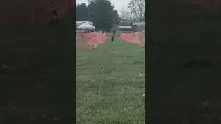 Fast Cat (FCAT) Run