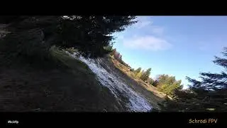 Freestyle: Uncut Test New Kissfc Fw. 1.3RC40o / team #bckflp