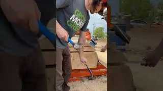 White pine slabs on a Woodmizer LX250 sawmill