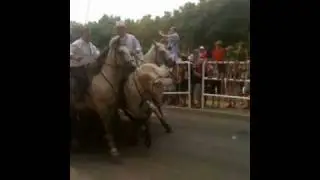 Lunel pescalune 2011