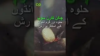 Karachi Experiences Cold Nights | Pakistan Meteorological Department | Weather Update |Cure Pakistan