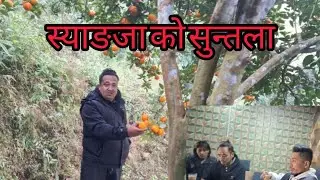 स्याङ्जा को सुन्तला KTM ल्याउदै/ syanja bata suntala ko tip handaii